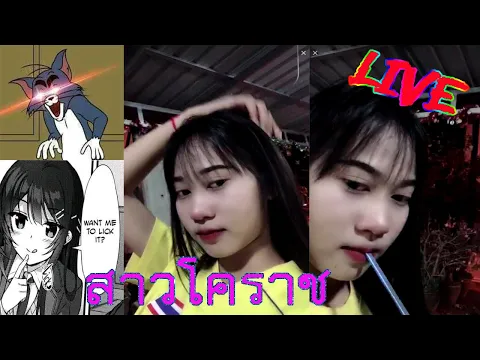 Liveเปิดใจสาวโคราชおにいちゃんのへんたい3Onii-Chan Baka Hentai3โอนี่จัง เฮนไต3
