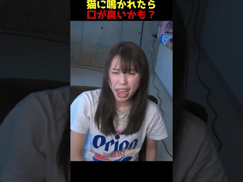 くっさw猫に ニャッ と鳴かれたら口が臭い説 #むらまこ #可愛い #かわいい #切り抜き #雑学 #雑談 #shorts #funny
