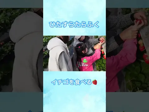 ほっこり動画
