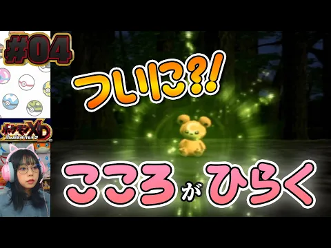 ポケモンXD ヒメグマ頑張ってくれww #4 顔出し