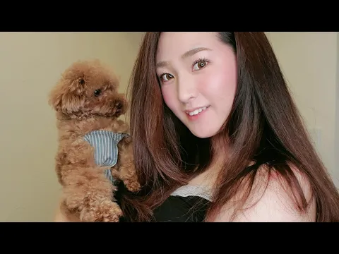 ぽっちゃり女子 と話そう!愛犬ぶぶおにケーキとご飯作る