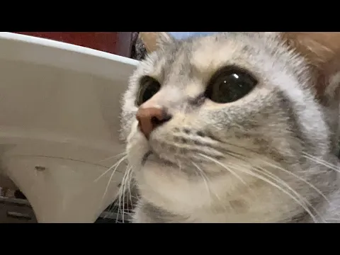 動画あげてない禊