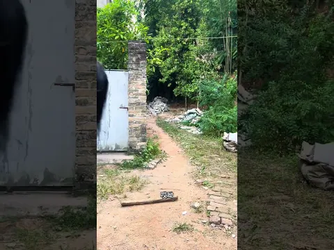 可恶的人贩子 #一定要看到最后 #户外拍摄 #万万没想到