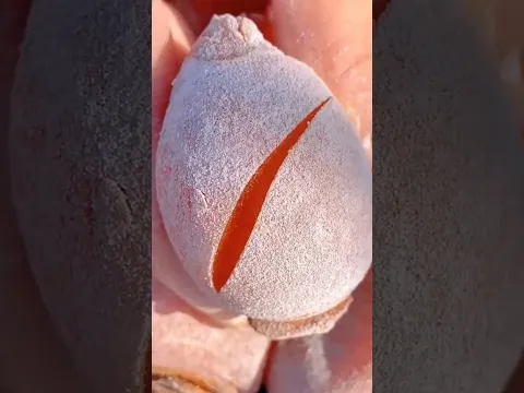 Enjoy Beautiful Nature Life