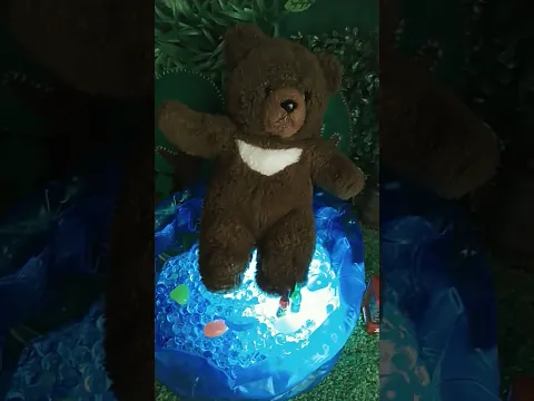 セリア購入品 セリアの水遊び用ミニタブでミニプール満喫中! #shorts