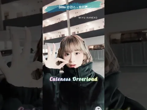Ditto 손댄스 - 하이론 金子みゆ/kaneko miyu 【切り抜き】