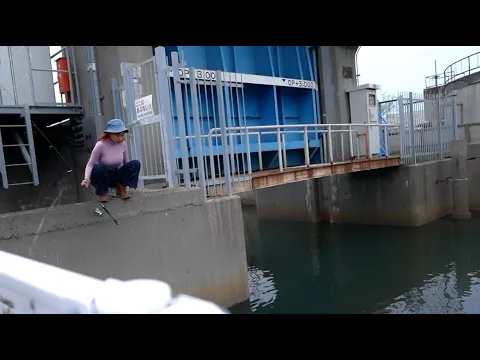 大量に湧く○○を獲る方法がやばすぎる。