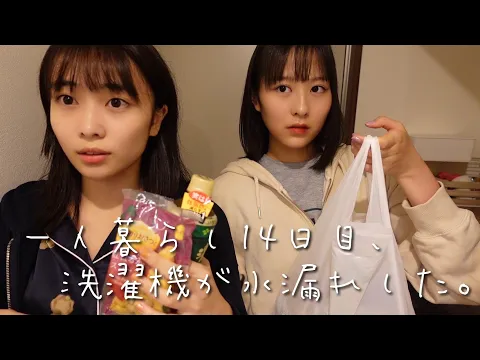 大学生なので深夜のコンビニ行ってきます