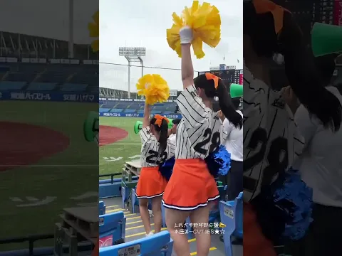 大好きチア野球応援上武大学22 チアリーディング部 #CUTIES スロー44 #かわいい#芸術#チア#本庄第一中学高等学校#クラブ活動 #すくーるtv