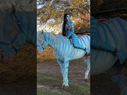 えちえちなお尻の馬姉さん [TikTok]