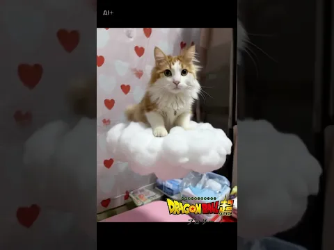 のるちゃん筋斗雲に乗るの巻(ドラゴンボール)DRAGONBALL