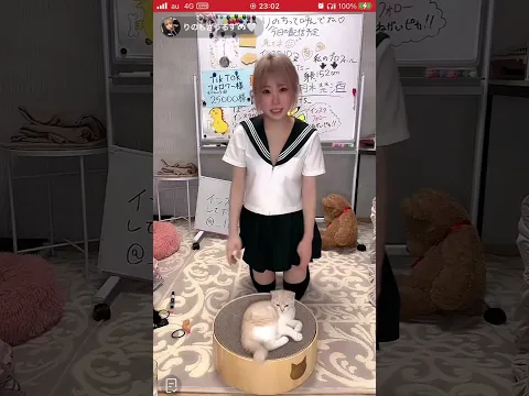 TikTokライブ 上も下もチラ見え制服美女