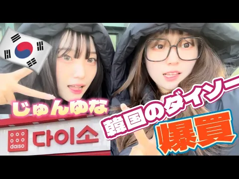 【爆買】ゆるく韓国のダイソー購入品紹介した