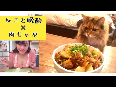猫と晩酌 ほくほく肉じゃが 一緒に食べると美味しいね