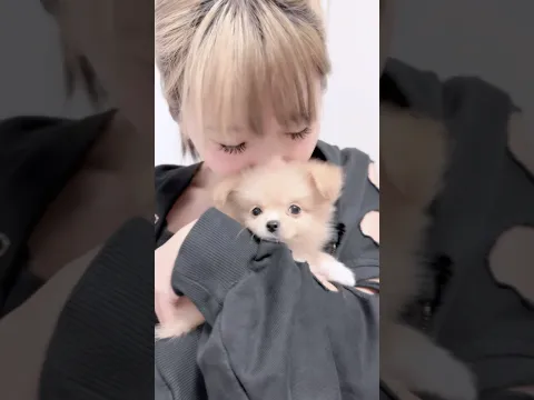 愛犬モカちゃんと「東京アレジー」踊ってみた♡