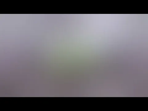 Funny videos TikTok compalition funny moments #34