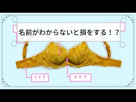 覚えておくと得をするブラジャーのポイント