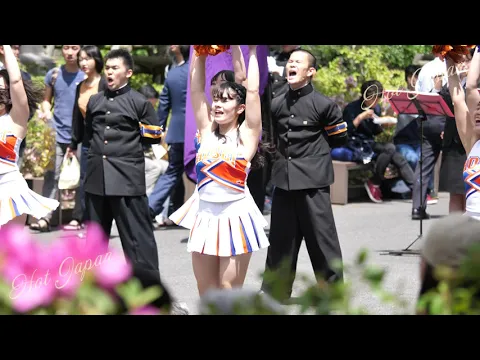 六大学応援チアリーディング|法政メイン動画|かがやく笑顔が素敵なチアガールさんたち!