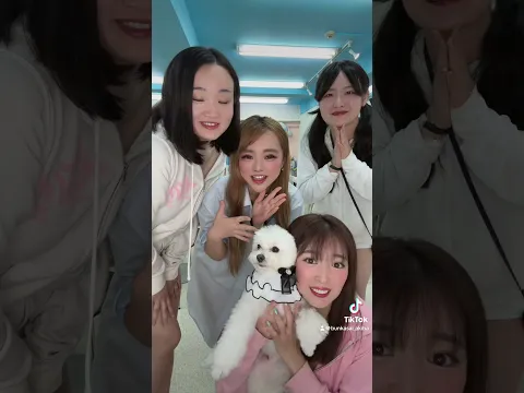 #本日のグラドル文化祭 7/6(日)オープンしました!