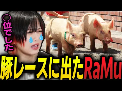 幼少期に豚レースに出場したRaMu