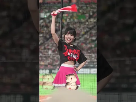 その視線…心に刺さる#ピタ止め #きつねダンス #かわいい #shortsfeed