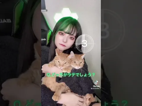 ゆら猫 全問正解したらファン認定 パート191 主ファンでした!