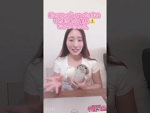 【80日目】YouTuber引退します。4年間応援ありがとうございました✨#可愛いお寿司屋#起業家#令和の虎