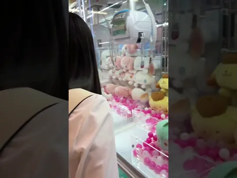 ポムポムプリンと友達間違えた #バツ丸くん派 #jk