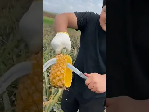 From Peel to Plate: Stunning Fruit Peel Recipes You'll Love