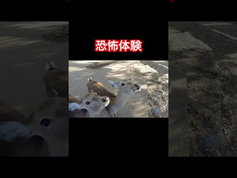 怖すぎた体験 #shorts