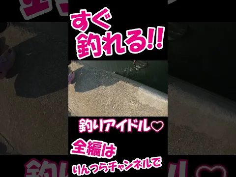 道頓堀でアイドルと釣りデートしたら大騒ぎ♡ #釣りガール #海釣り