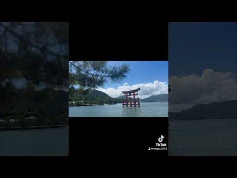 8月の宮島⛩ #宮島の鹿 #宮島 #優木恵結 #海 #空 #夏の景色