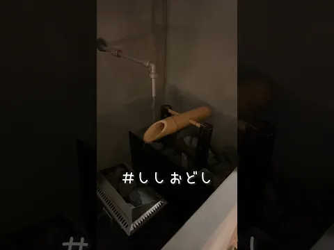 【大阪】和の空間でととのう!個室サウナHAAAVE. #個室 #サウナ #アムザ #大東洋 #サウナ女子  #sauna #本音 #本気  #hotspring #かわいい #サウナガール