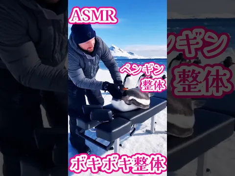 ペンギンの首をボキッとASMR