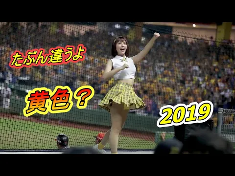 黄色なQunQunとおーぱー2019【台湾チア】峮峮ちゅんちゅん