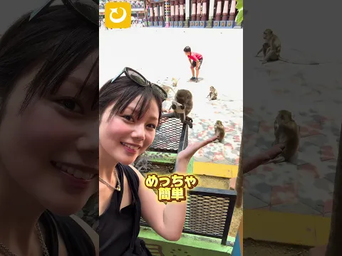 おすすめ海外eSIMだよーん