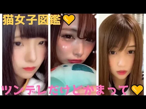 【動物恋図鑑】猫女子さみしいけど、かまって欲しい【かわいい】【ITKTOK】