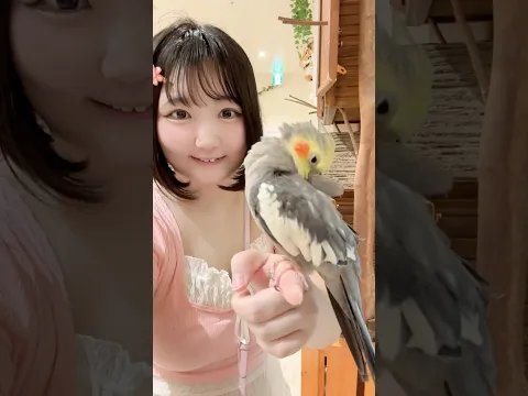 インコと私‪‬アニタッチ名古屋ららぽーと店