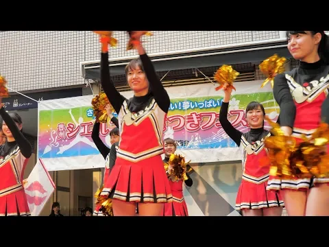 さつきフェスタ2018① チーム紹介 千葉大学チアリーディングサークルLips