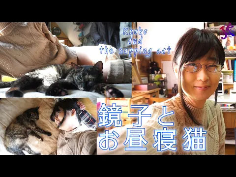 鏡子とお昼寝猫