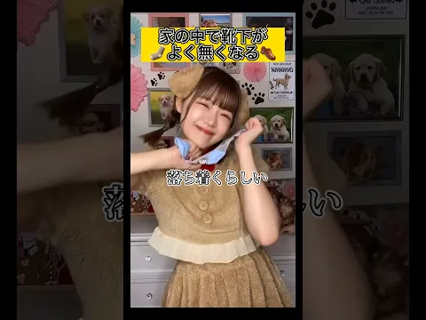 靴下無くなったと思ったら愛犬が隠し持ってた #TikTok #shorts