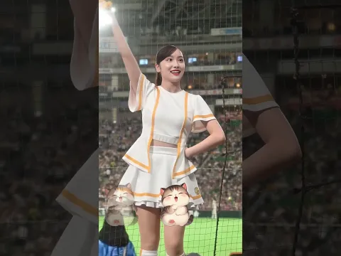 CAにいそう#ピタ止め #きつねダンス #かわいい #shorts