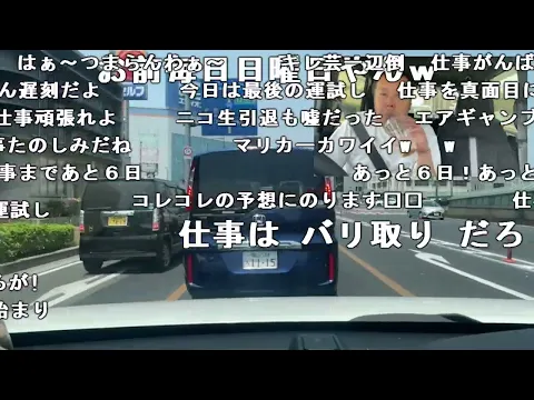 【イノシシ】運試しボロ負け日本ダービーG1で取り返す!。2024年5月26日