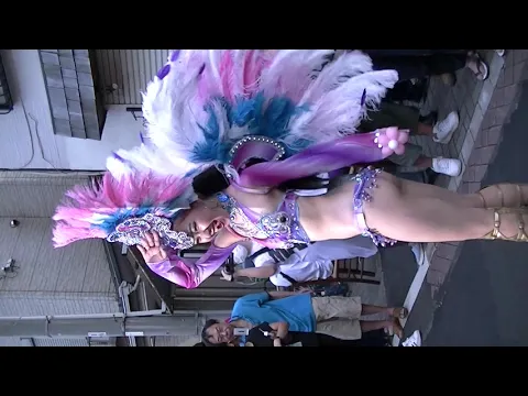 華麗なる美女サンバの接近、、、熊野前2019