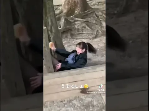 シカ×人間×黒パン