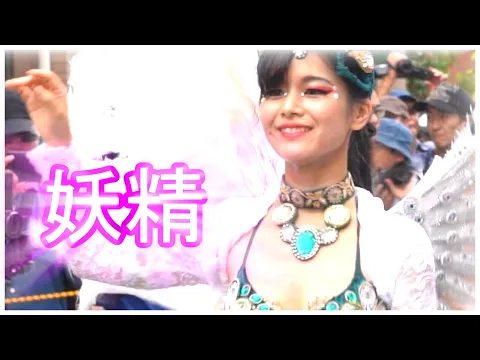 妖精 サンバ カーニバル 早稲田大学 ラテンアメリカ協会 学園通りフェア 北千住 2019 Samba ウニアン のメンバー