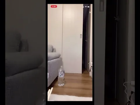 【TikTok】こんなに可愛い子の○○が丸見えでいいのか?