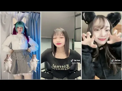 【3人同時再生】猫ミームダンス #TikTok #ダンス #猫ミーム